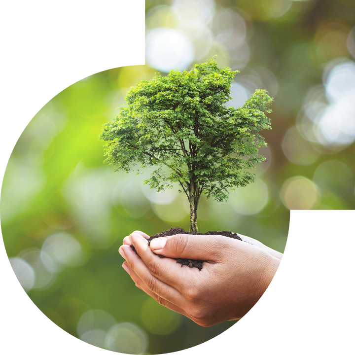 關懷人類、文化、環境與社會